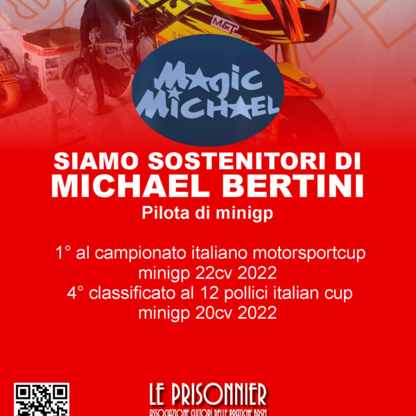 SIAMO SOSTENITORI di MICHAEL BERTINI